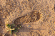 Shoe footprint in the dirt.
