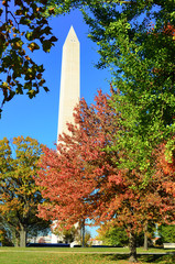 Autumn in Washington D.C. - Washington Monument 