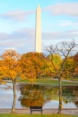 Washington D.C. in autumn foliage - A view from Constitution Garden in the fall - Washington D.C. United States of America