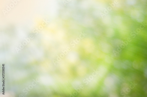 Fotomural Abstract background of light bokeh blur On green background
