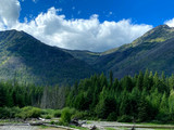 Fototapeta Natura - Forest mountain landscape
