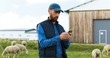 © VAKSMANV - Handsome male Caucasian hands holding and texing message on smartpphone outdoors. Sheep at grazing pasture on background. Man shepherd tapping and scrolling on mobile phone. Cattle farm.