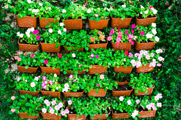 Wall Mural - Beautiful flowers in the vertical garden