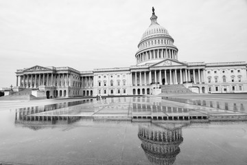 Wall Mural - United States Capitol Building - Washington D.C. United States of America