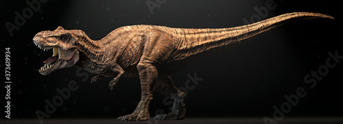 Angry Dinosaur, closeup,Isolated on black background Tableau sur Toile