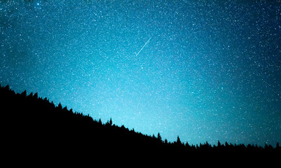 Wall Mural - Night starry sky against the background of the fir forest.