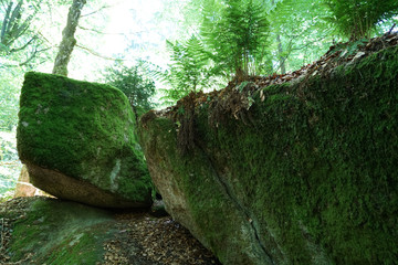 Poster - Closeup shot of big stones covered with moss