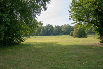 Poster - Beautiful shot of a green field surrounded by trees