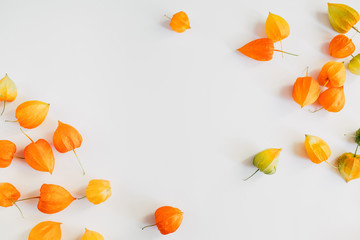 Autumn composition. Colorful flowers of physalis on pastel gray background. Autumn, fall concept. Flat lay, top view, copy space