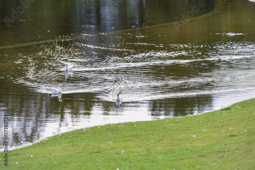 Flood water overflows from a lake during flooding after heavy rain and bad weather