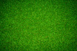 © tendo23 - green grass background