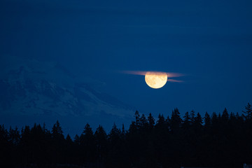 Wall Mural - moon in the night