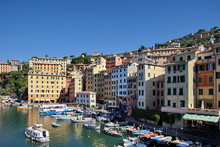 The Harbour In Camogli Is Thronged With Tourist Boats