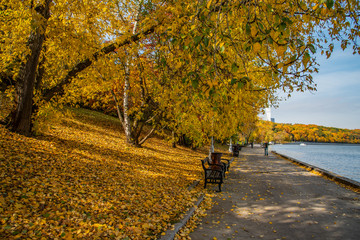 Wall Mural - River embankment. Autumn embankment. Autumn in the city.