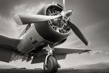 Wall Mural - historical aircraft against a dramatic sky