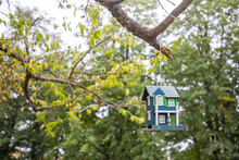 Decorative Bird House On Tree In Summer Park