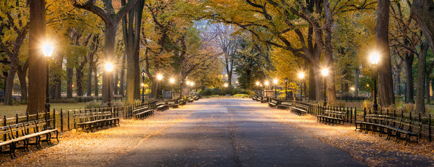 Wall Mural - the mall in central park at night, new york city, usa