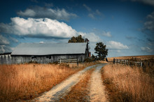 Winding Dirt Road To Farm Land