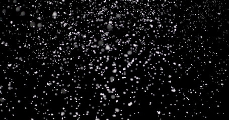 Wall Mural - cloud of white snowflakes floating in the air. the shiny flakes are falling slowly from the sky agai