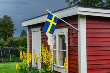 Swedish Flag On Traditional Swedish Small Red Wooden Guest Cottage, White Window, Door. Summer Day After Rain, Yellow Flowers, Green Trees And Strawberry Plantation At Blurry Background, Side View
