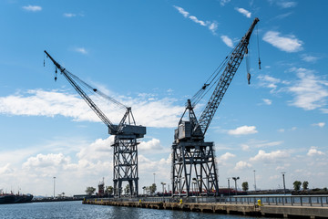 cranes in the harbor