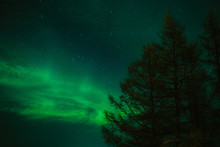 Mesmerizing View Of Aurora Borealis On The Star-filled Night Sky Over Trees