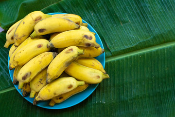 plate with ripe yellow bananas on a large yellow banana leaf