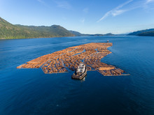 Canada, British Columbia, Campbell River, Aerial View Of Tugboat Pushing Boom Of Freshly Cut Logs Toward Seymour Narrows Along Vancouver Island On Summer Evening