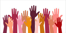 Colored Volunteer Crowd Hands Isolated On White Background. Raised Hand Silhouettes, People Colorful Voting Vector Illustration. Teamwork, Collaboration, Voting, Volunteering Concert.