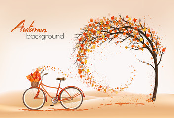Fototapete - Enjoy Autumn background. Tree with colorful leaves and bike with basket with leaves. Vector illustration.