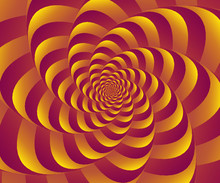 Rose And Yellow Spiral Background