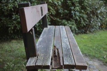 Wall Mural - single chair in the park in the evening light