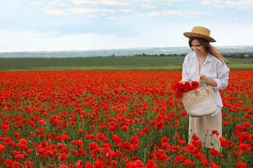 Wall Mural - Woman holding handbag with poppy flowers in beautiful field