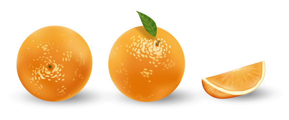 Realistic set of oranges isolated on white. Fresh ripe oranges with leaves. Tropical fruits vector illustration