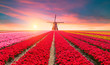 © kishivan - traditional Netherlands Holland dutch scenery with one typical windmill and tulips, Netherlands countryside