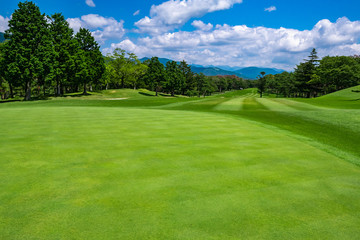 Wall Mural - Golf Course with beautiful green field. Golf course with a rich green turf beautiful scenery.