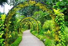 Beautiful View Of Singapore Botanic Gardens In Australia