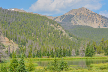 Wall Mural - Beautiful mountains, forest and landscape near Monarch Pass in the Rocky Mountains of Colorado 