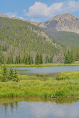 Wall Mural - Beautiful mountains, forest and landscape near Monarch Pass in the Rocky Mountains of Colorado 