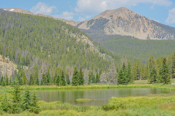 Wall Mural - Beautiful mountains, forest and landscape near Monarch Pass in the Rocky Mountains of Colorado 