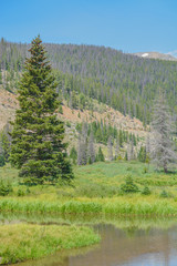 Wall Mural - Beautiful mountains, forest and landscape near Monarch Pass in the Rocky Mountains of Colorado 
