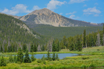 Wall Mural - Beautiful mountains, forest and landscape near Monarch Pass in the Rocky Mountains of Colorado 