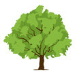 
A leguminous tree, flat style of tamarind tree icon
