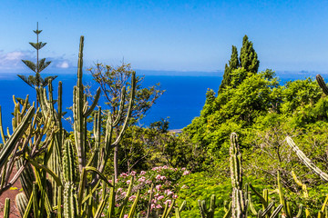 Madeira Island