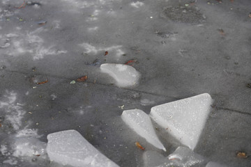 Sticker - Water with icicles and leaves in the winter