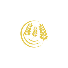 Wall Mural - agriculture wheat logo template design with isolated background