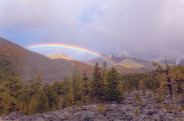 Wall Mural - Beautiful rainbow in the mountains. Mountain landscape with a rainbow.