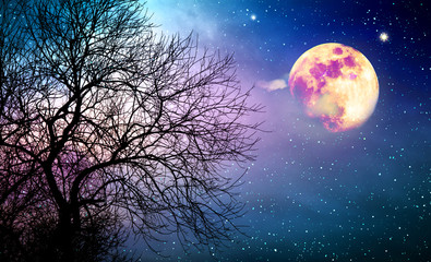 silhouette of tree and full moon on colorful night sky.