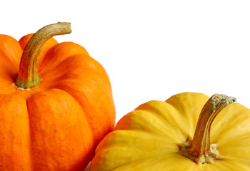 Closeup Vivid Orange and Yellow Ripe Pumpkins Isolated on White Background