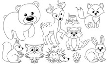 Vector Line Set Of Woodland Animals. Animal Outline For Coloring Including Bear, Deer, Fox, Rabbit, Raccoon, Squirrel, Hedgehog, Owl